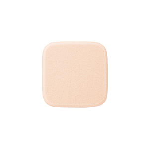 Makeup Sponge N